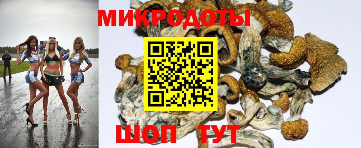Псилоцибиновые грибы прущие грибы Борисоглебск