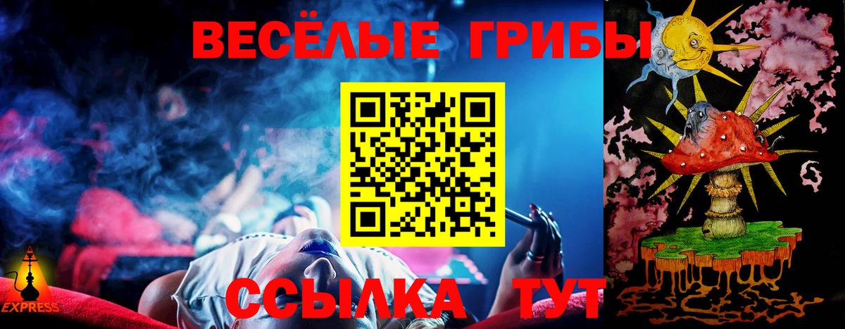 Борисоглебск  Галлюциногенные грибы прущие грибы  Вход с VPN 